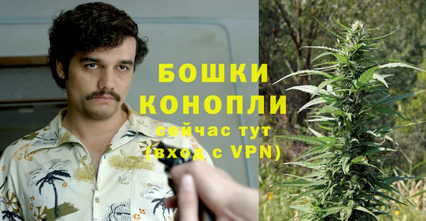 PSILOCYBIN Алексин