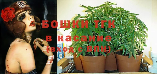 кокс Аркадак