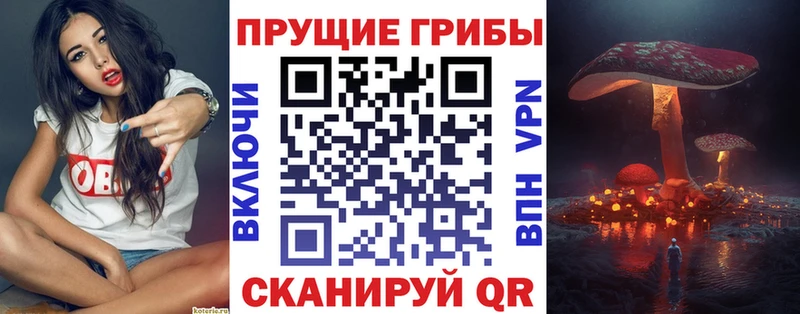 Галлюциногенные грибы мухоморы  Купить где  Белокуриха 