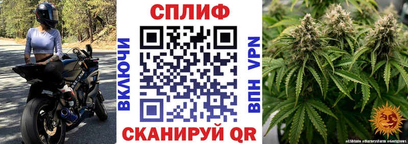 Бошки марихуана MAZAR  Купить где  Белокуриха 